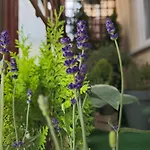 Apartamenty Magvel